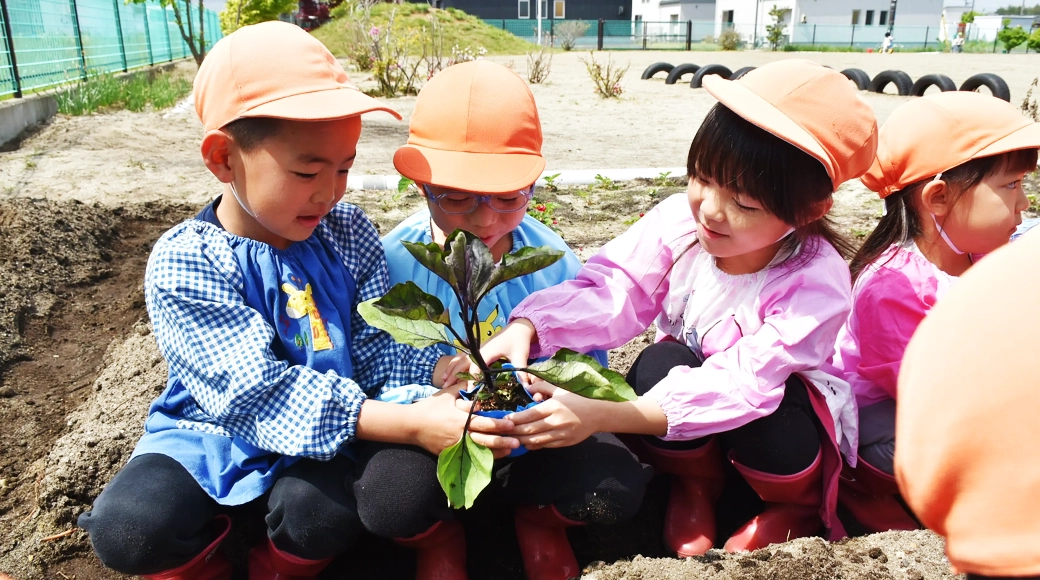 こども園えがおの子供たちの写真イメージ
